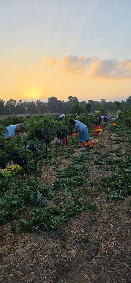 בציר משפחתי