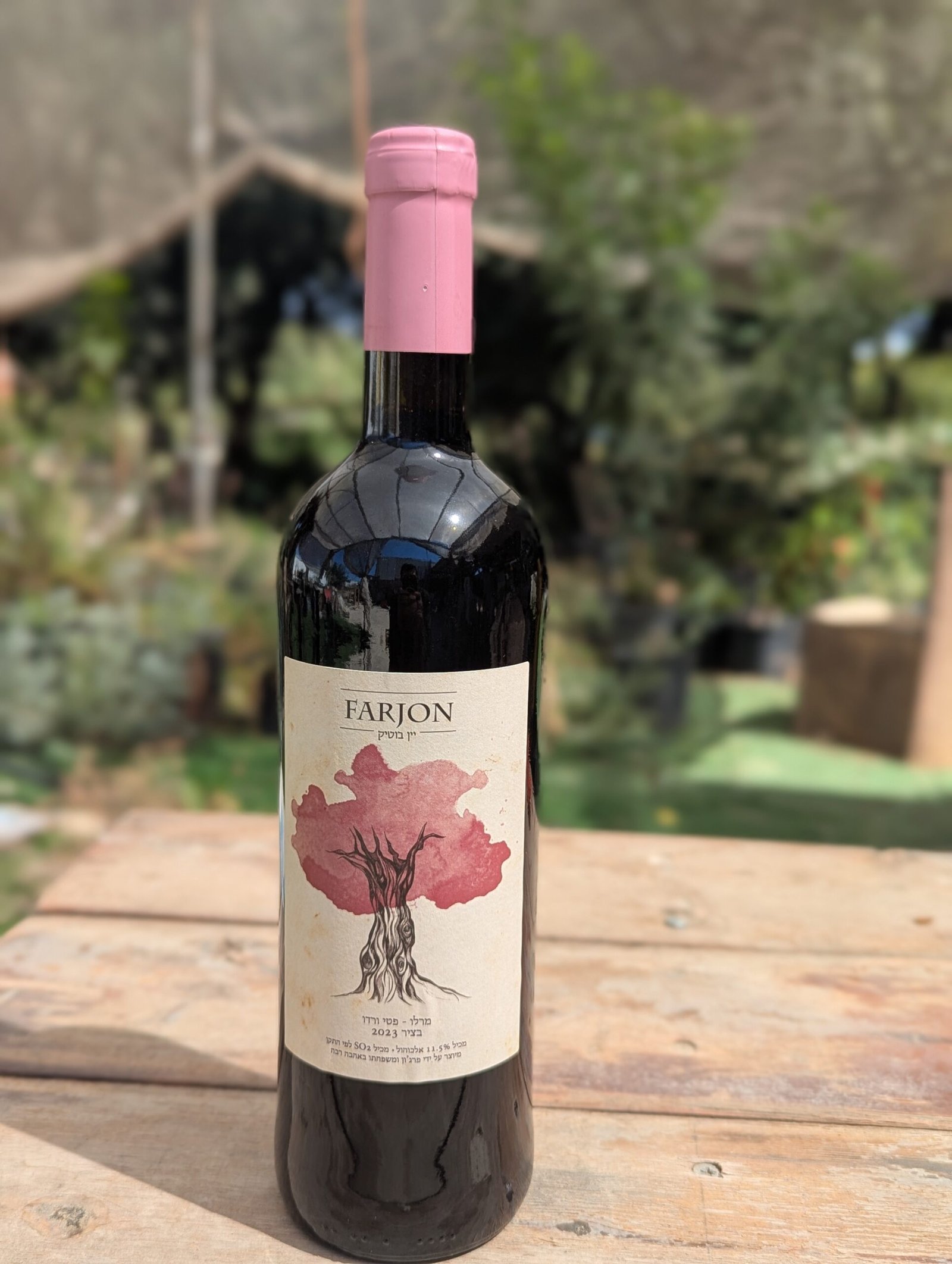 מרלו פטי ורדו 2023